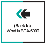 [Back to] What is BCA-5?