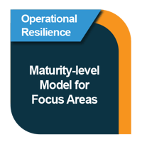 OR Blog Maturity Level Model for Focus Area