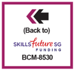 Back to_SSG_BCM-8530