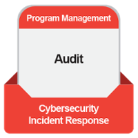 CIR Audit