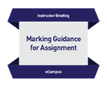 Marking Guidance for Assignment