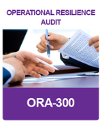 ORA-300